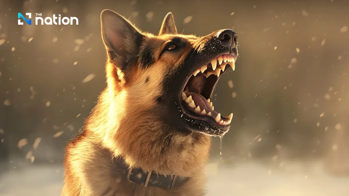 Thủ đô Bangkok (Thái Lan) công bố khu vực kiểm soát bệnh dại- Ảnh 1. Thủ đô Bangkok (Thái Lan) công bố khu vực kiểm soát bệnh dại- Ảnh 1.