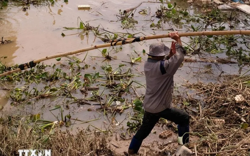 Người dân thôn Tân Lập, xã Ka Đô, Lâm Đồng dọn dẹp vườn rau để tranh thủ thời gian khôi phục sản xuất. (Ảnh: Nguyễn Dũng/TTXVN)
