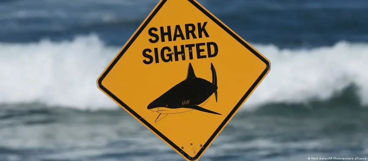 Du khách tử vong do cá mập tấn công tại bờ biển Australia - Ảnh 1.