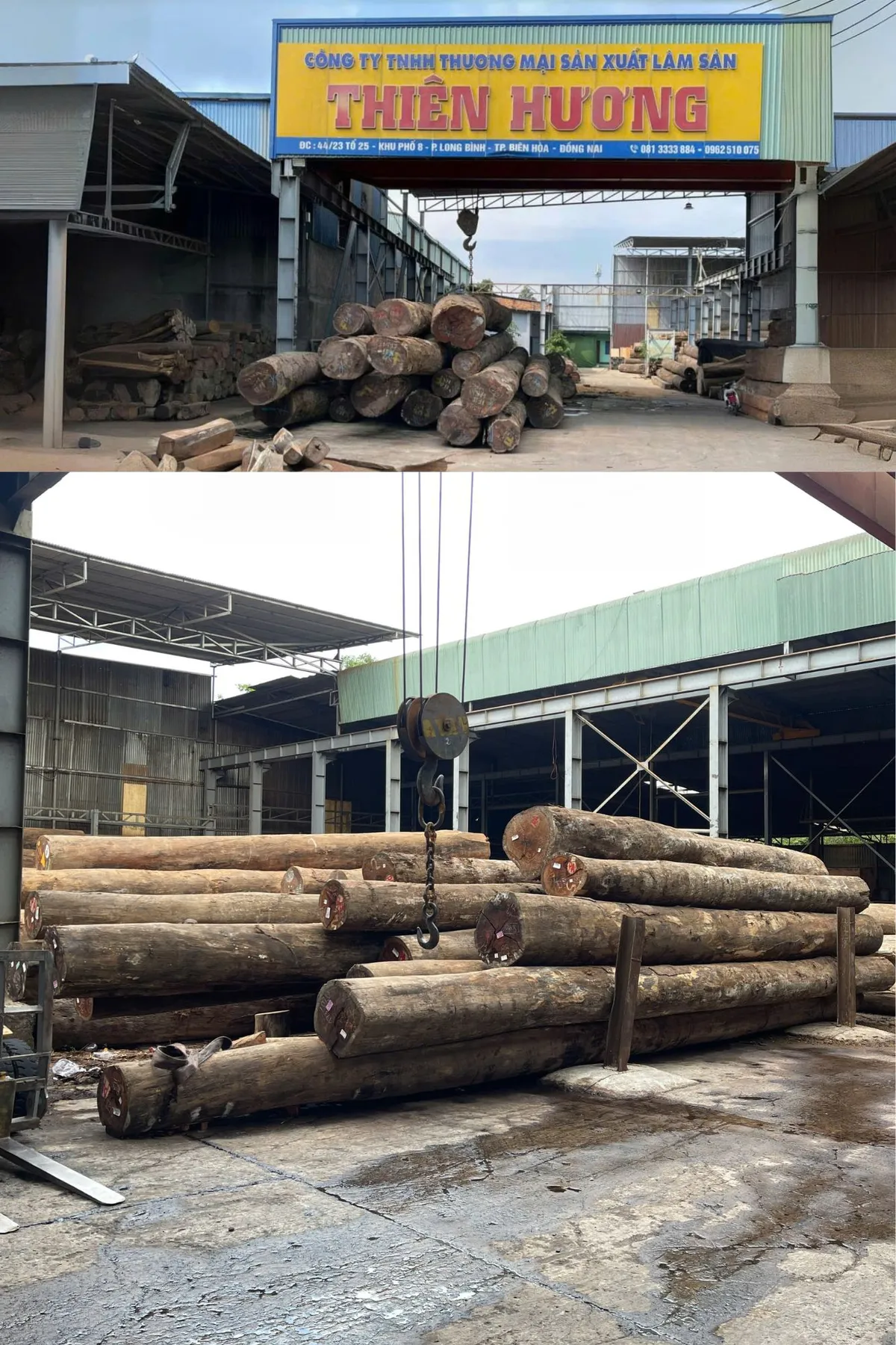 Cô gái Gen Z "lột xác" doanh nghiệp truyền thống - Ảnh 2.