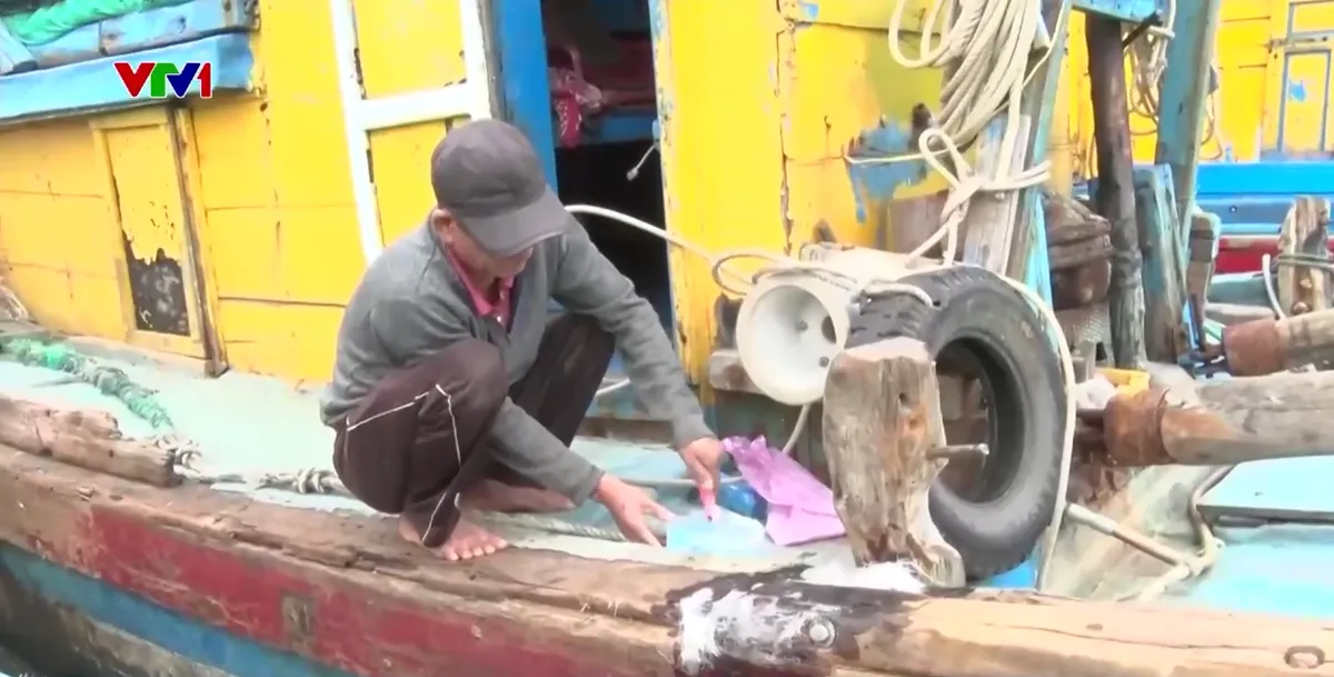 Gia Lai: Đảm bảo an toàn cho tàu thuyền trước bão số 15 - Ảnh 1.