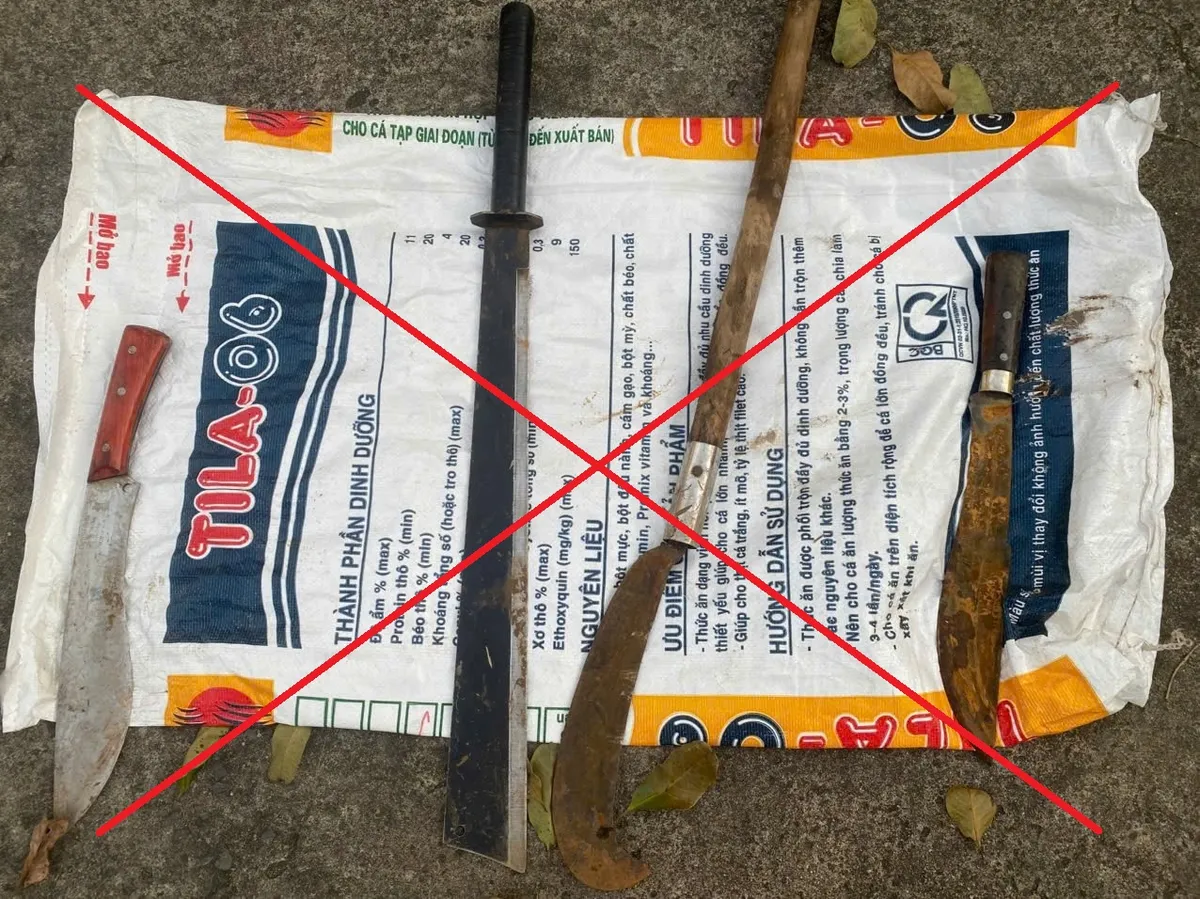 Bắt nhóm thanh thiếu niên truy đuổi, chém người trong đêm ở Đồng Nai - Ảnh 2.