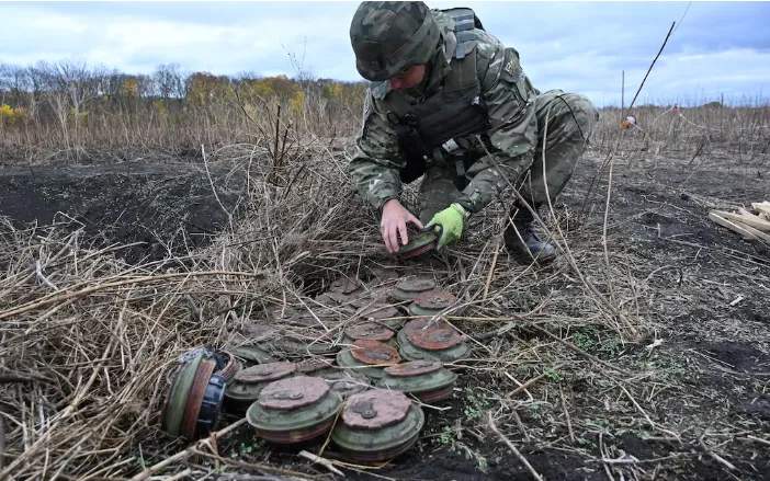 Số người thương vong vì bom mìn lên mức cao nhất trong 4 năm - Ảnh 1.