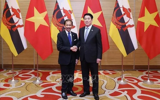 Chủ tịch nước Lương Cường đón Quốc vương Brunei Darussalam Haji Hassanal Bolkiah dự tiệc chiêu đãi. Ảnh: Lâm Khánh/TTXVN