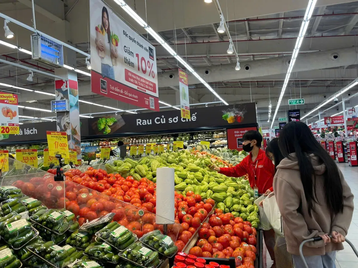 Hạ tầng trung tâm thương mại – mắt xích quyết định sức bật của thị trường bán lẻ - Ảnh 3.