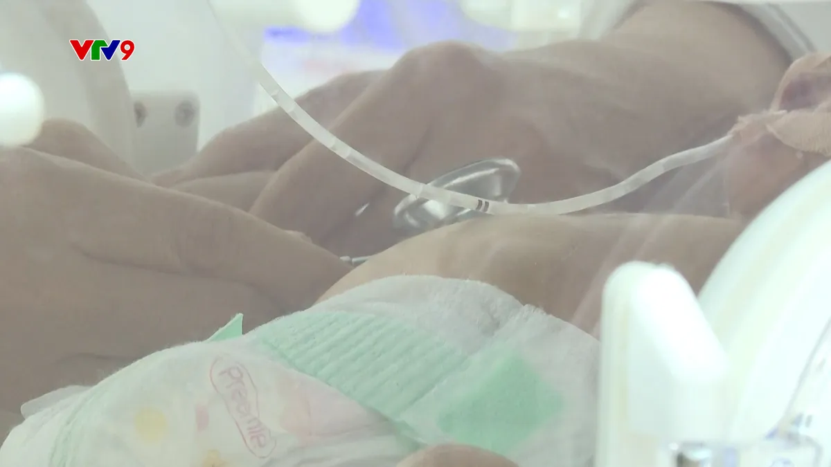 0212-PNHN--GIANH LẠI SU SONG.jpg