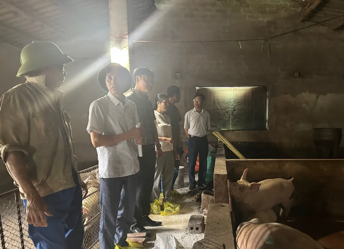 Ninh Bình: Dịch bệnh hoành hành đàn vật nuôi - Ảnh 2.