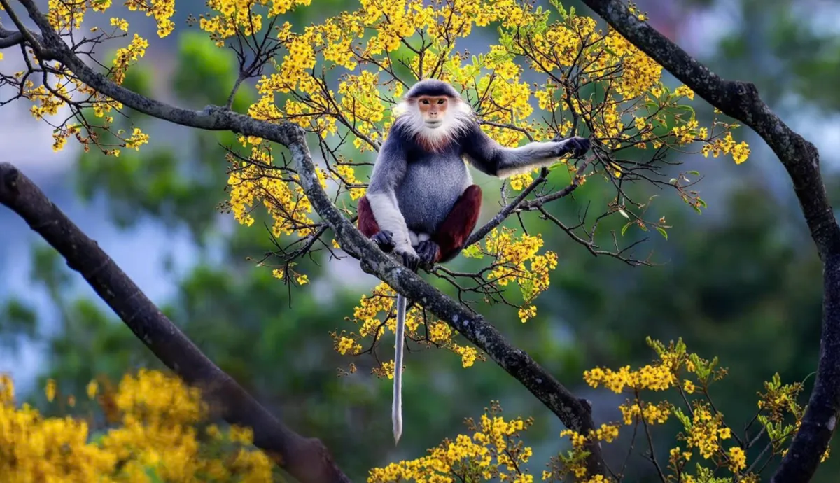 Gần 54% Gen Z lên kế hoạch du lịch nhiều hơn trong năm 2026- Ảnh 2.