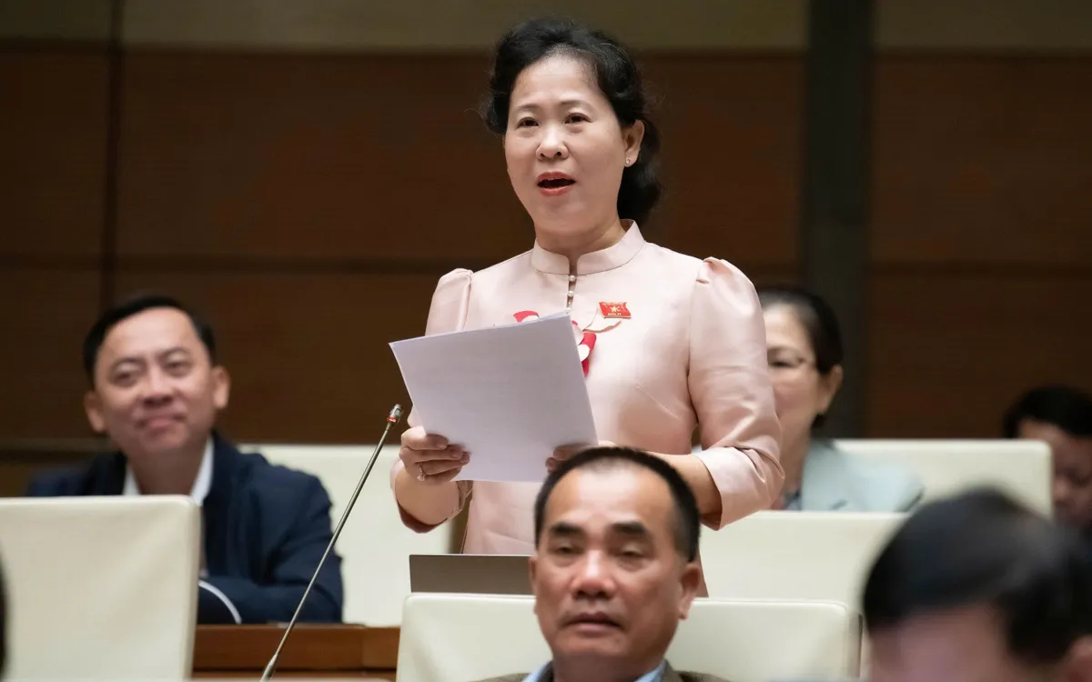 Đại biểu Quốc hội Tô Ái Vang (Đoàn TP Cần Thơ) 