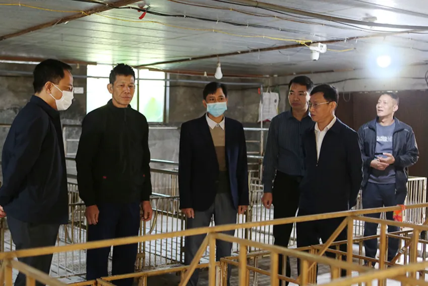 Ninh Bình: Dịch bệnh hoành hành đàn vật nuôi - Ảnh 4.