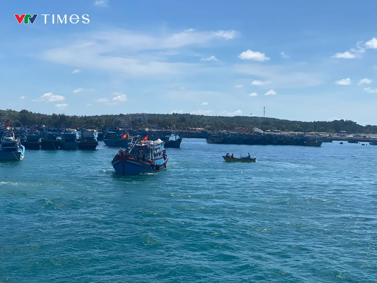 Lâm Đồng dỡ lệnh cấm biển sau mưa lũ, tàu thuyền được hoạt động trở lại - Ảnh 1.