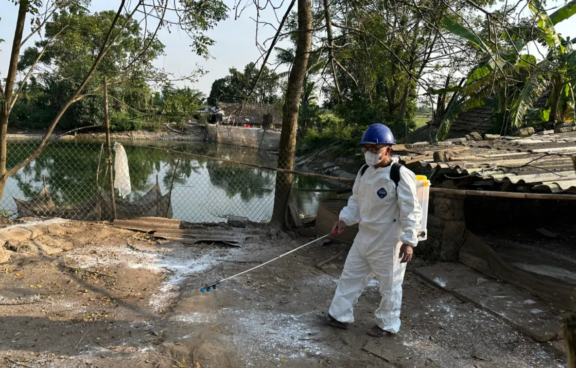 Ninh Bình: Dịch bệnh hoành hành đàn vật nuôi - Ảnh 1.