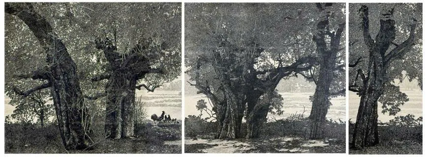 Hơn 1300 tác phẩm vẽ về di sản văn hóa Việt Nam: Truyền cảm hứng và tình yêu di sản
- Ảnh 4.