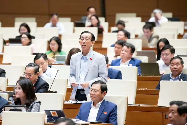 ĐBQH: Cần làm rõ việc sở hữu chéo, thao túng ngân hàng đã được khắc phục đến đâu? - Ảnh 2.