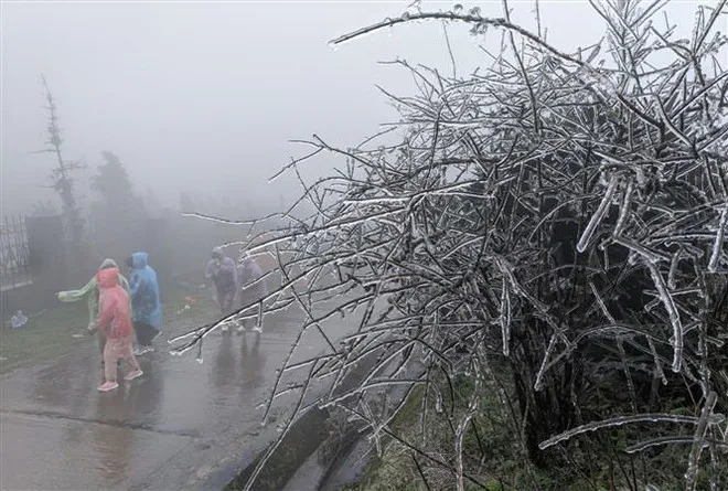 Tại các khu vực vùng núi cao, nhiệt độ giảm sâu có thể dẫn đến hiện tượng băng giá, sương muối.