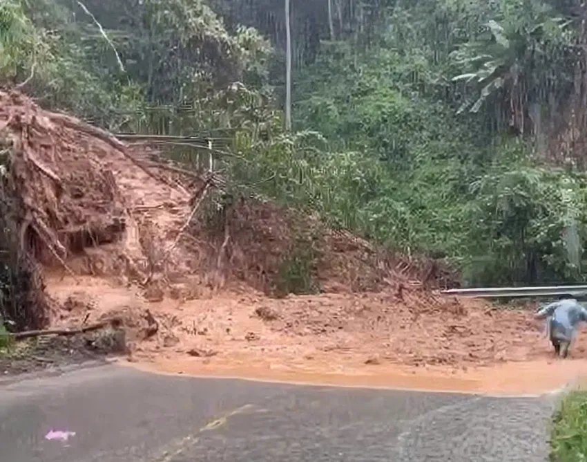 Lâm Đồng tạm đóng đèo Sông Pha do sạt lở - Ảnh 1.