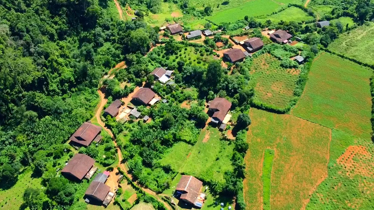 Nghệ thuật từ hạt ngô: Khi nông sản Lân Nóng "kể" chuyện du lịch xanh - Ảnh 1.