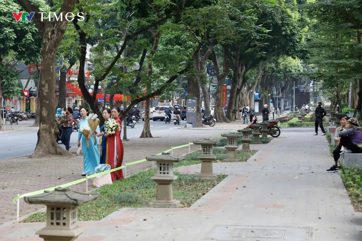 Hà Nội: Phố Phan Đình Phùng "lạ lẫm" khi vắng bóng "nàng thơ" và dãy xe hoa - Ảnh 5.