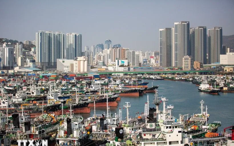Quang cảnh cảng hàng hóa ở Busan (Hàn Quốc). (Ảnh: THX/TTXVN)