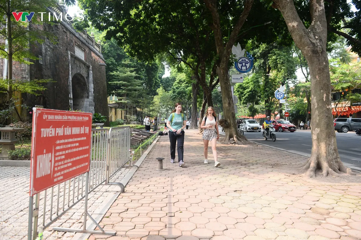 Hà Nội: Phố Phan Đình Phùng "lạ lẫm" khi vắng bóng "nàng thơ" và dãy xe hoa - Ảnh 1.