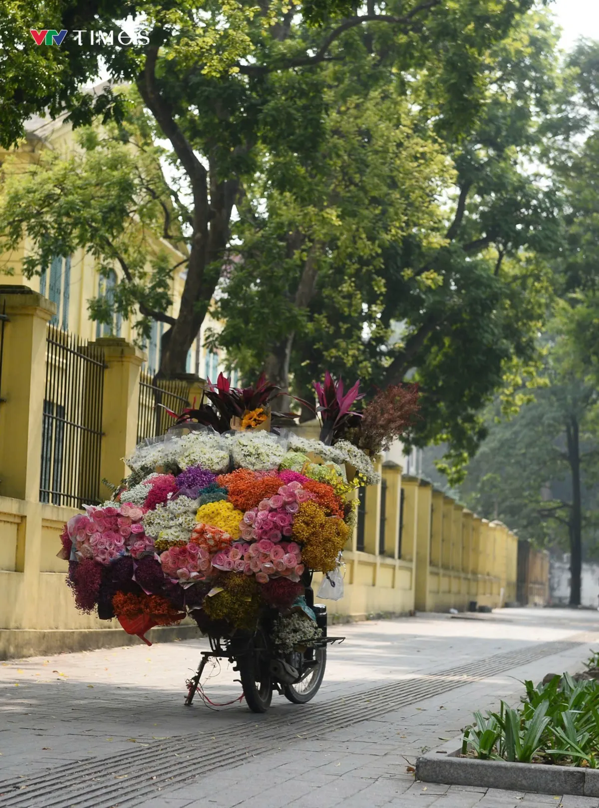 Hà Nội: Phố Phan Đình Phùng "lạ lẫm" khi vắng bóng "nàng thơ" và dãy xe hoa - Ảnh 3.