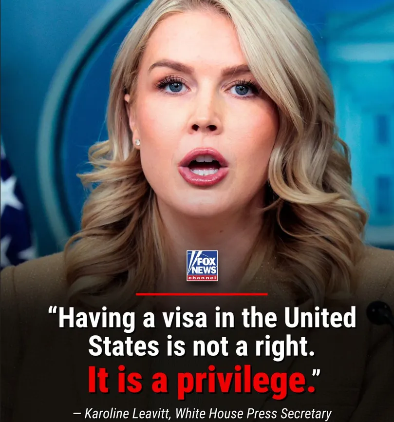Thực hư về tuyên bố “Visa Mỹ là một đặc quyền, không phải quyền lợi” của Nhà Trắng - Ảnh 1.