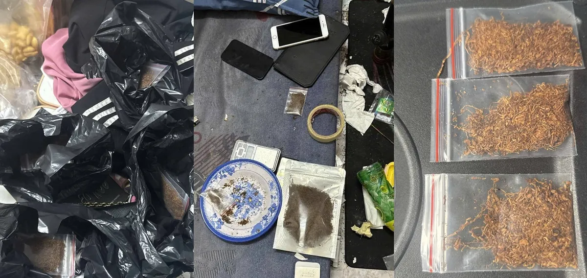 Ba sinh viên ở Đà Nẵng tham gia đường dây mua bán “cỏ Mỹ” - Ảnh 2.