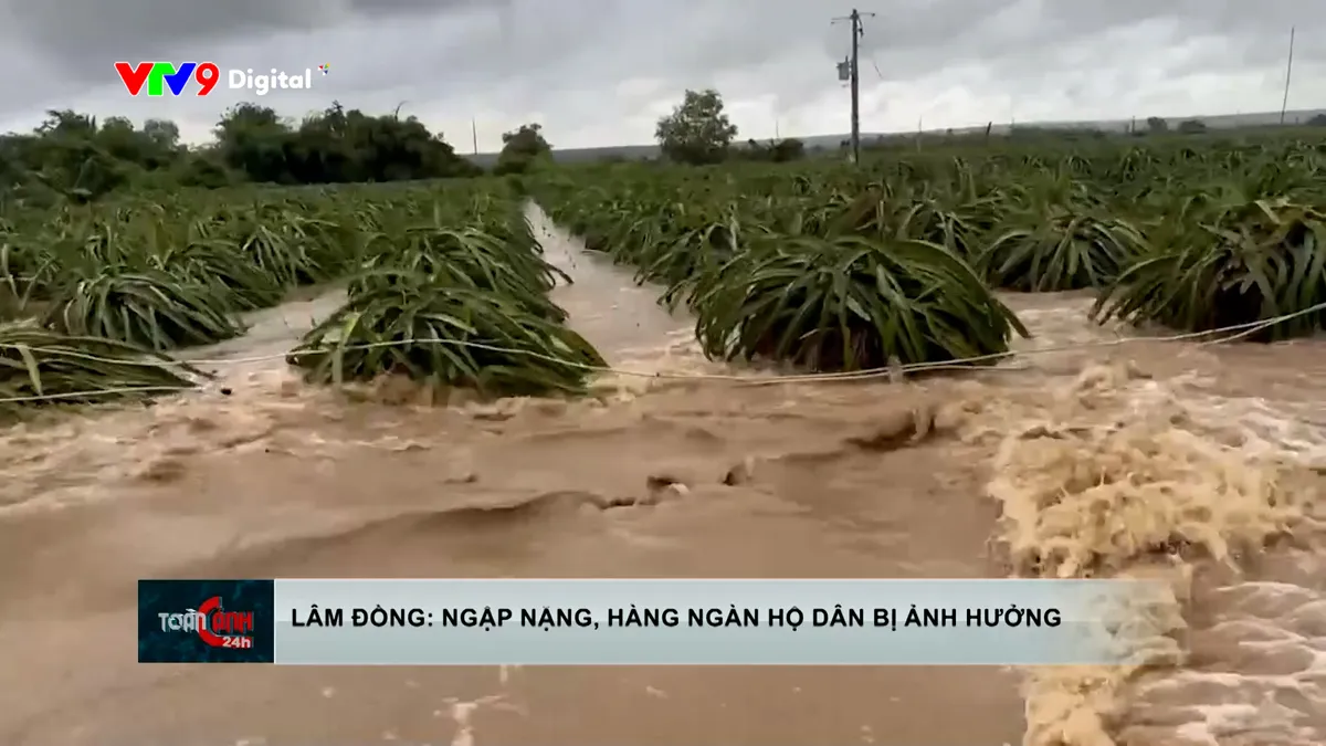 Lâm Đồng ngập nặng, hàng ngàn hộ dân bị ảnh hưởng