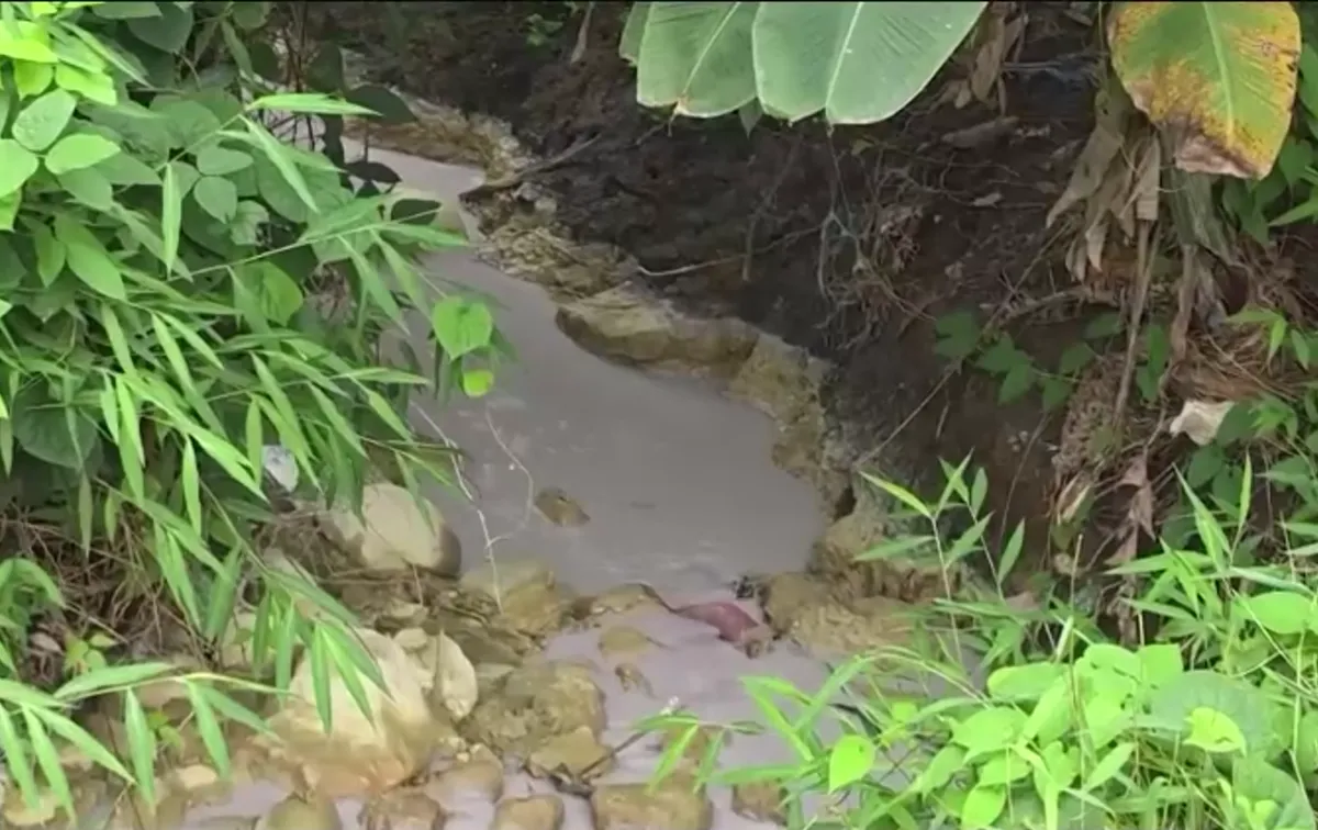 Nở rộ c&aacute;c cơ sở sản xuất t&aacute;i chế giấy kh&ocirc;ng ph&eacute;p tại nhiều địa phương - Ảnh 7.