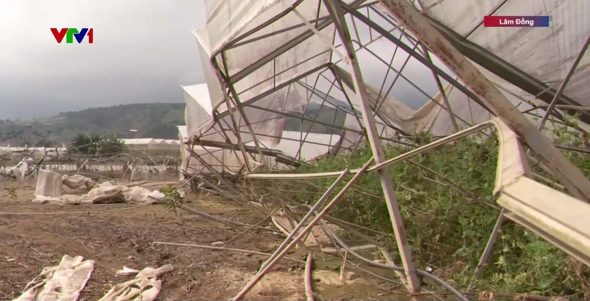 Mưa lớn gây sạt lở nhiều nơi ở Lâm Đồng - Ảnh 1.