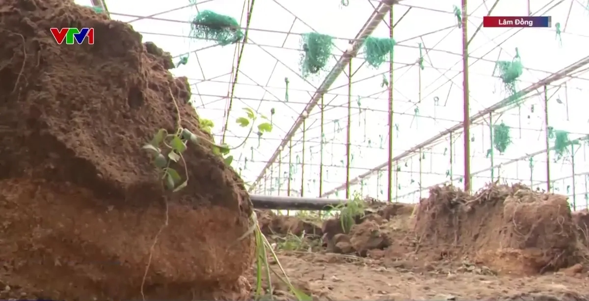 Mưa lớn gây sạt lở nhiều nơi ở Lâm Đồng - Ảnh 2.