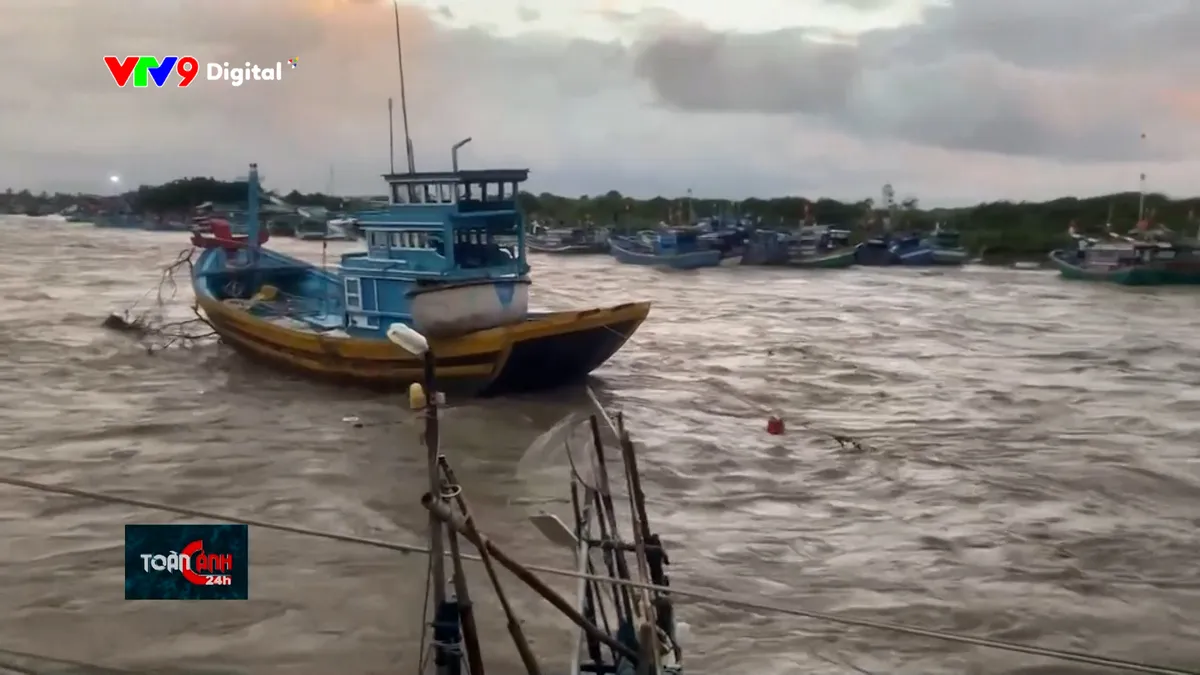 tc24h-0412-1 dù được neo đậu nơi an toàn nhưng tàu  vẫn bị trôi ra biển.jpg