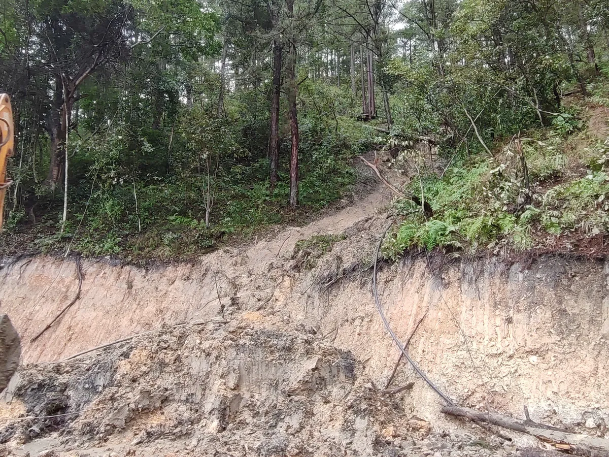 Lâm Đồng: Nhiều tuyến đèo vào Đà Lạt tiếp tục sạt lở, tạm ngưng lưu thông đèo Mimosa - Ảnh 1.