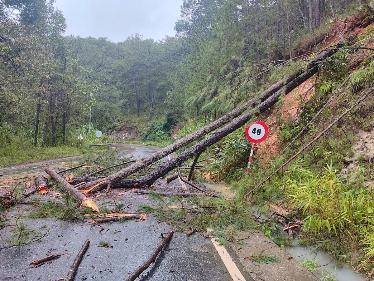 Lâm Đồng: Nhiều tuyến đèo vào Đà Lạt tiếp tục sạt lở, tạm ngưng lưu thông đèo Mimosa - Ảnh 3.