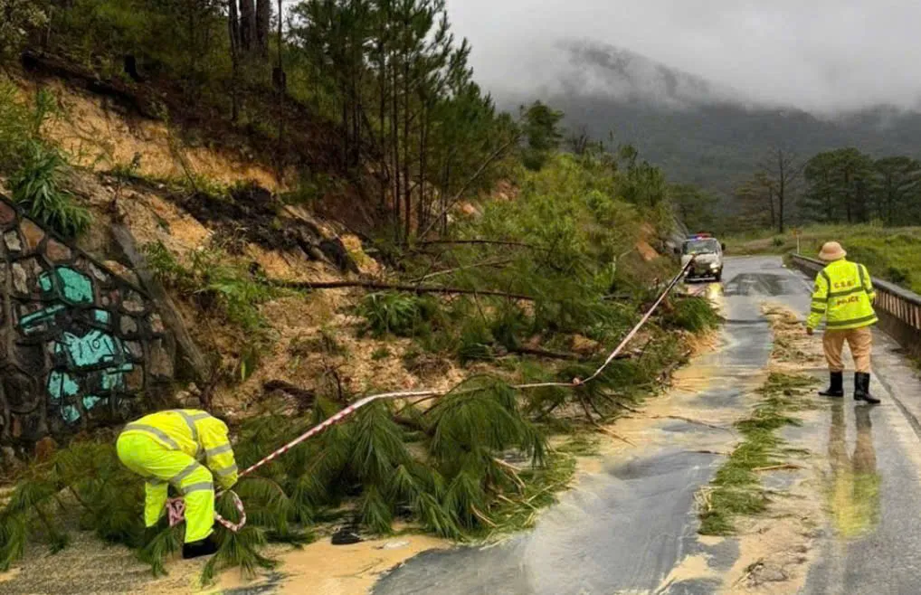 Lâm Đồng: Nhiều tuyến đèo vào Đà Lạt tiếp tục sạt lở, tạm ngưng lưu thông đèo Mimosa - Ảnh 4.