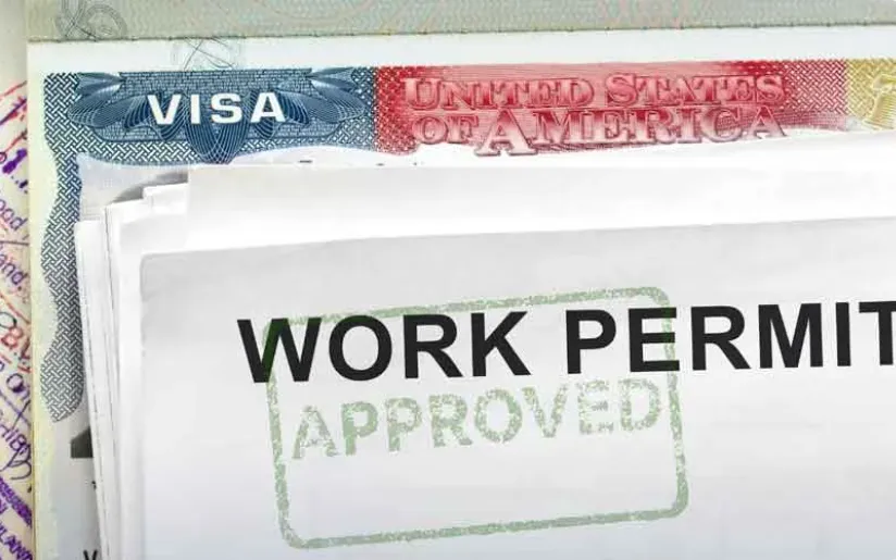 (Ảnh: Samaa Web Desk)