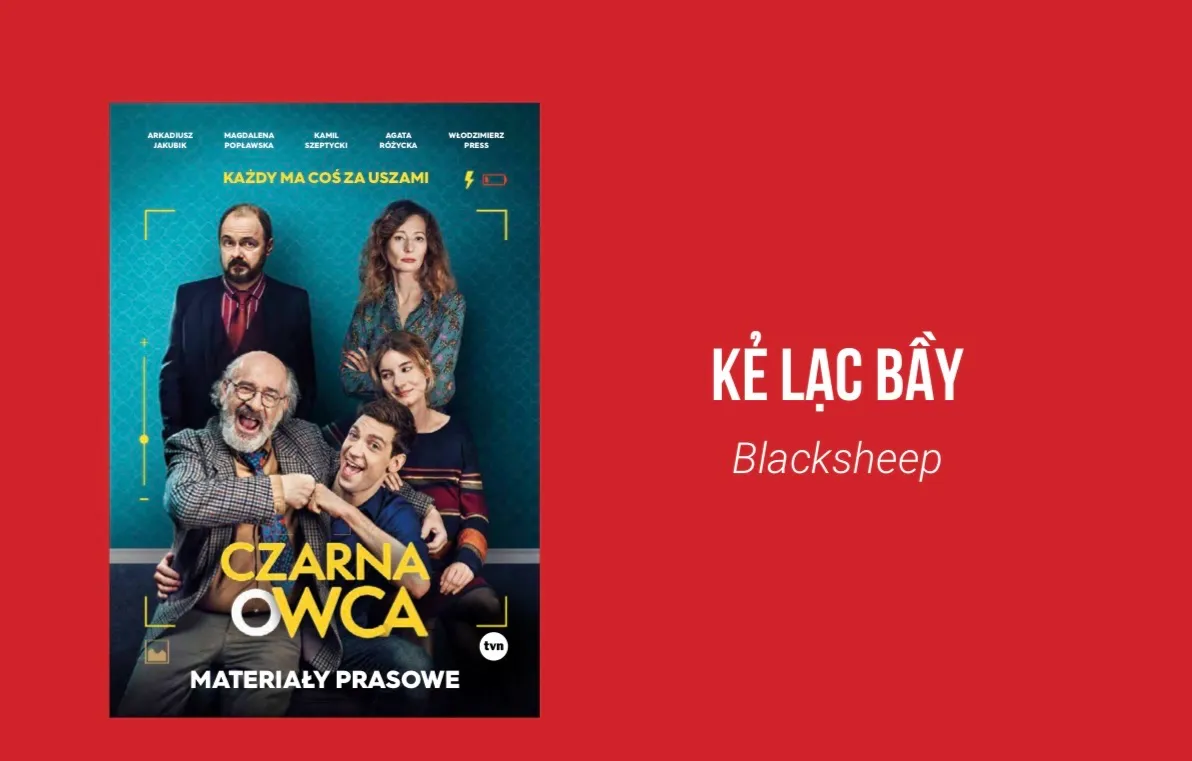 “Kẻ lạc bầy” mở màn Tuần phim Ba Lan tại Việt Nam - Ảnh 4.