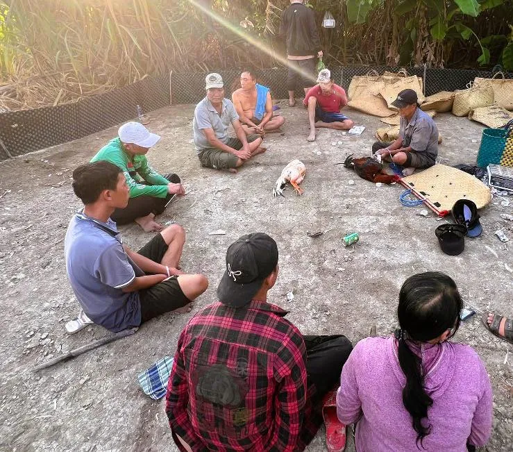 Triệt phá sòng đá gà ăn tiền tại Đồng Nai, tạm giữ 12 đối tượng- Ảnh 2.