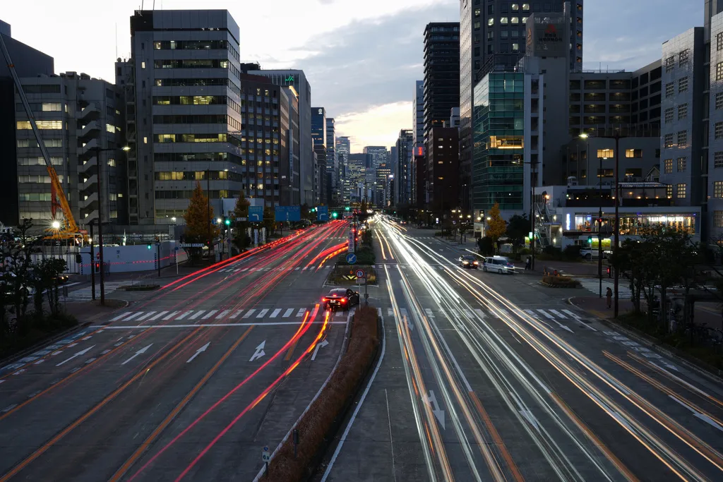 Nhật Bản siết chặt quy định nhập tịch - Ảnh 1.