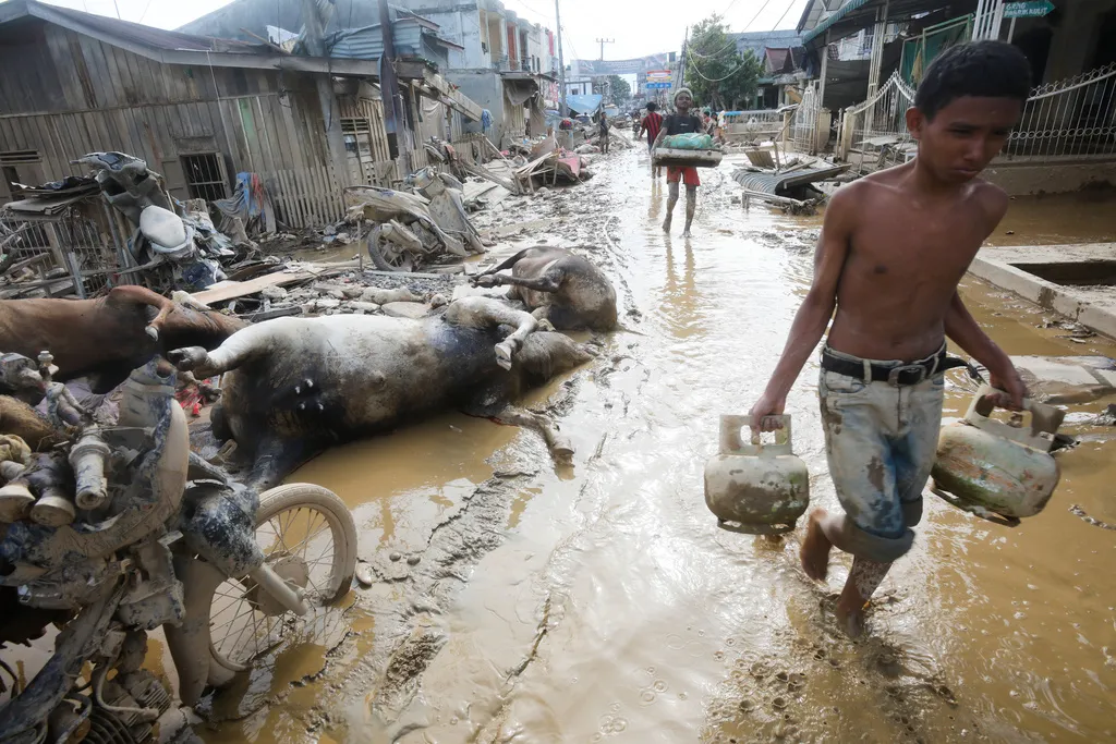 Số người chết vì lũ lụt ở châu Á vượt quá 1.500, Indonesia cam kết chống phá rừng  - Ảnh 2.