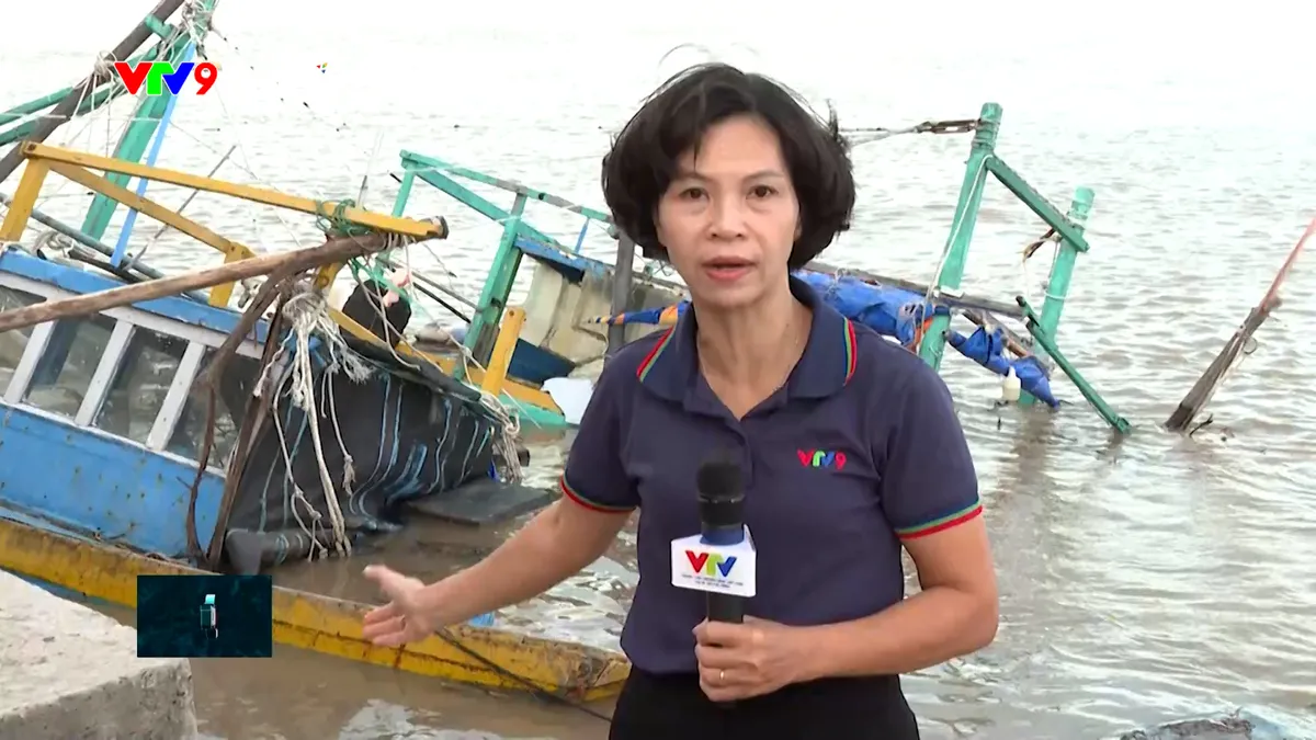 tc24h-0512-4 pv thanh hải.jpg