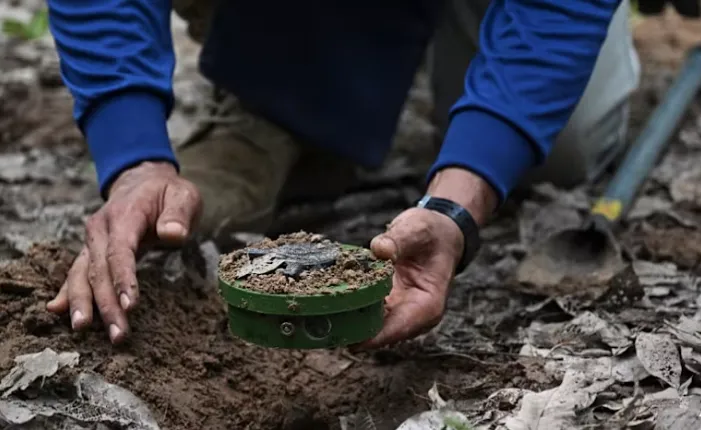 Thái Lan yêu cầu Campuchia chịu trách nhiệm về các vụ nổ mìn ở biên giới- Ảnh 1. Thái Lan yêu cầu Campuchia chịu trách nhiệm về các vụ nổ mìn ở biên giới- Ảnh 1.