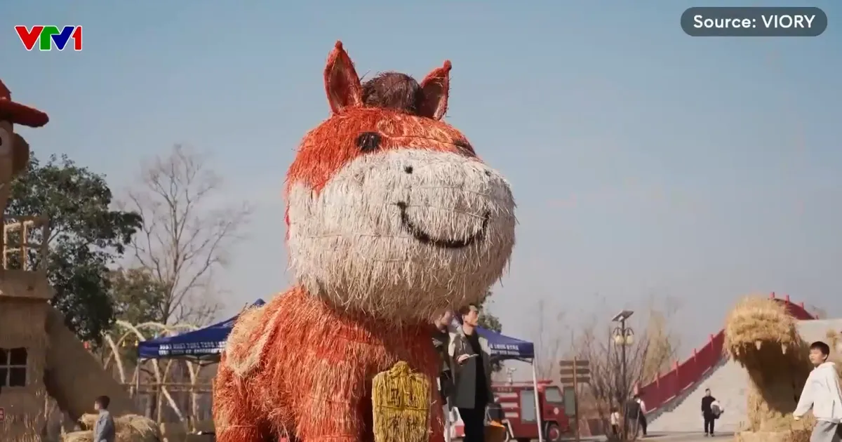 Thăm quan lễ hội bù nhìn rơm- Ảnh 1.