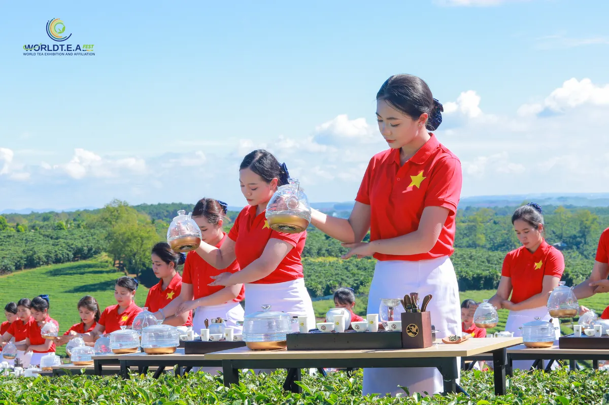 Hình Ảnh-12-03.jpg