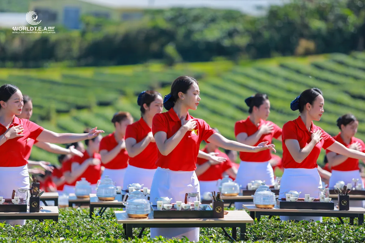 Hình Ảnh-12-07 (1).jpg