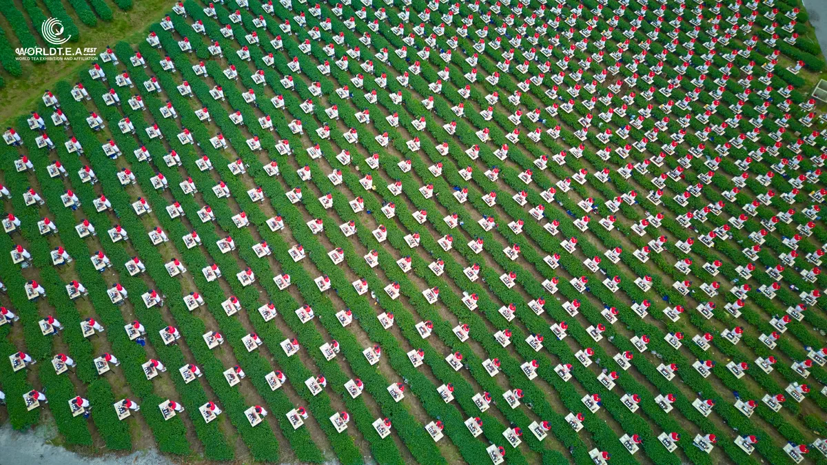 Hình Ảnh-12-08.jpg