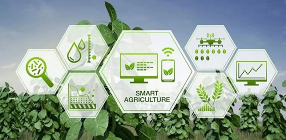 Nông nghiệp Việt Nam đối mặt “3 sức ép” và cơ hội bứt phá từ chuyển đổi số - Ảnh 1.