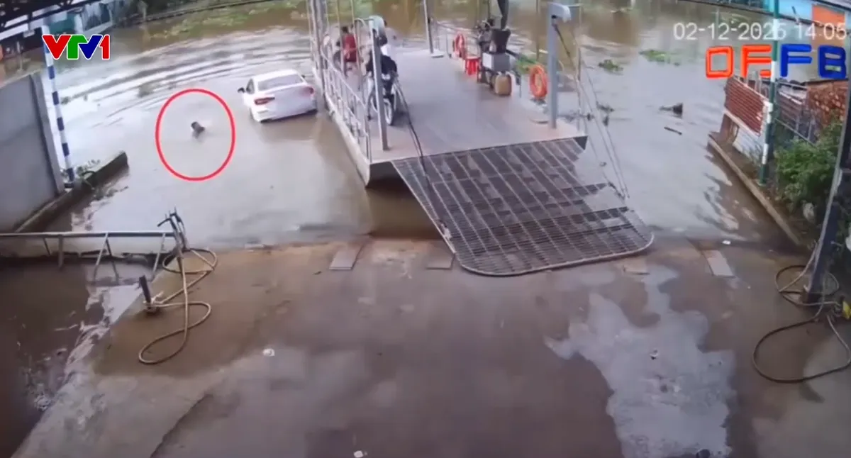 Ô tô lao xuống nước khi phà chưa cập bến - Ảnh 1.