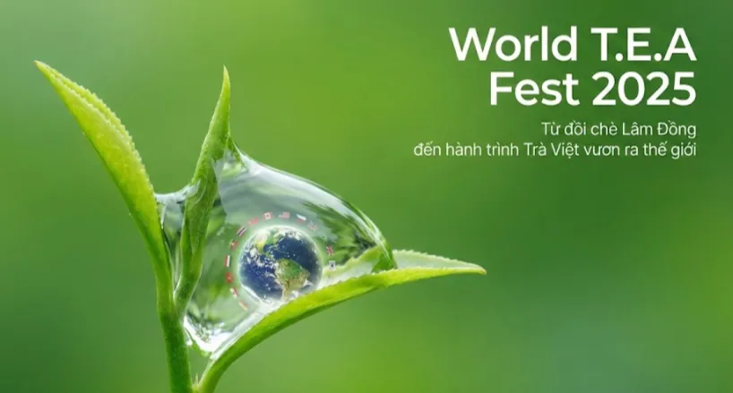 World T.E.A Fest 2025: Từ đồi chè Lâm Đồng đến hành trình Trà Việt vươn ra thế giới