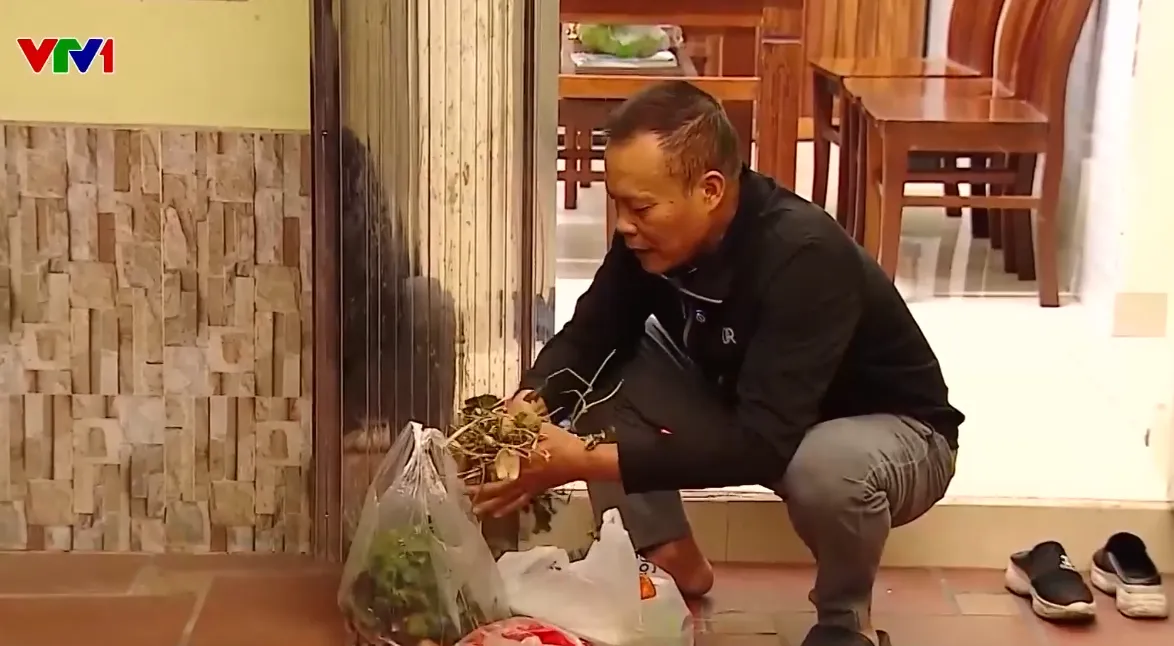 Phân loại rác tại nguồn: Giảm đáng kể lượng rác phải chôn lấp - Ảnh 1.